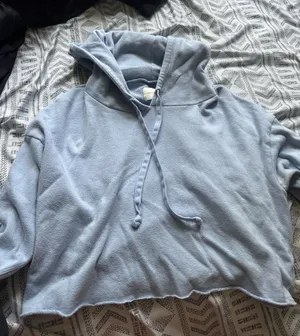 American Eagle Cropped Hoodie thumbnail 1
