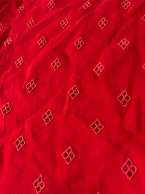 Johnny Was Luanna Red Eyelet Scoop Neck Tank Blouse thumbnail 9