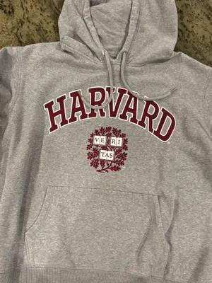 H&M Gray Harvard hoodie thumbnail 3