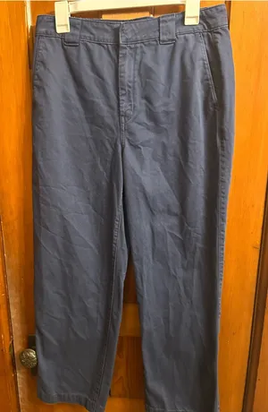 NWOT! American Eagle Navy Blue Pants, Size 10 thumbnail 1