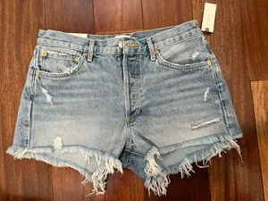 AGOLDE Parker Shorts In Swapmeet NEW WITH TAGS thumbnail 5