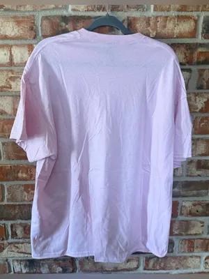 Gildan Light Pink Short Sleeve Tee with Pumpkin Graphic thumbnail 4