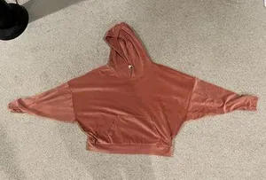 American Eagle Outfitters Pink Velvet Hoodie thumbnail 1