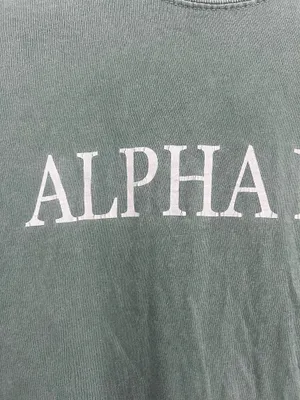 Comfort Colors Alpha Phi Shirt thumbnail 2