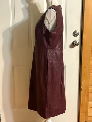 Ann Taylor Sleeveless Faux Leather Shift Dress in Deep Plum size 12 thumbnail 4