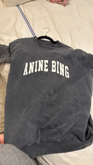 ANINE BING Sweatshirt Grey thumbnail 5