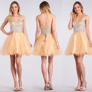 Champagne‎ dress Size XXL thumbnail 2