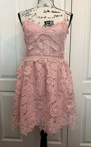 Altar'd State Pink Lace Spaghetti Strap Fit-and-Flare Dress thumbnail 1