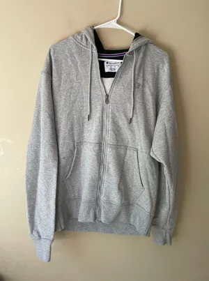 Champion hoodie thumbnail 1