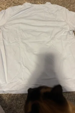 Aelfric Eden T-shirt L thumbnail 4