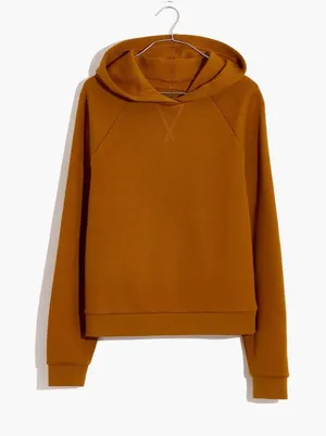 Madewell MWL hoodie sweatshirt thumbnail 1