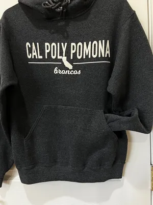 Jerzees Cal Poly Pomona Broncos Sweatshirt Hooded Gray Size Small thumbnail 4