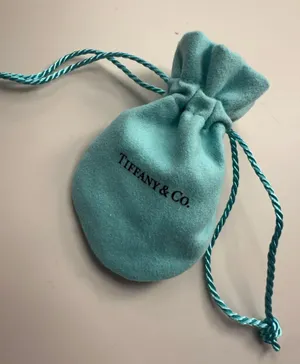 Tiffany & Co. Blue Jewelry Bag thumbnail 1