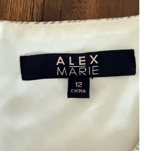 Alex‎ Marie Beige White Striped V-Neck Pleated Sheath Dress Womens Size 12 thumbnail 6