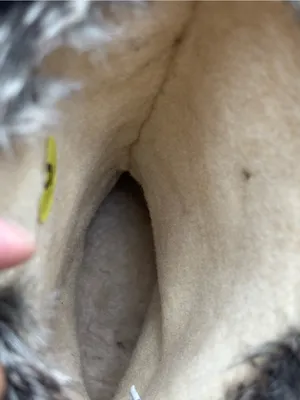 Bearpaw Genevieve Women's Size 9 Brown Suede Faux Fur Trim Winter Boots thumbnail 10