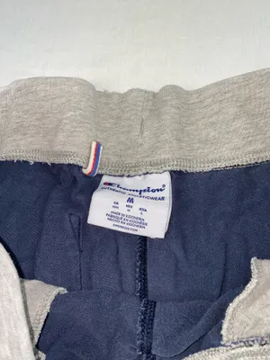 Champion shorts  thumbnail 4