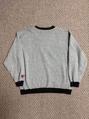 Chase Authentics Dale Earnhardt NASCAR 90s Gray Casual Pullover Sweatshirt thumbnail 2