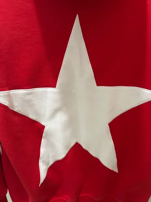 Aelfric Eden Star Color Contrast Oversized Hoodie size XS red thumbnail 14