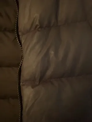 The North Face Down Vest thumbnail 3