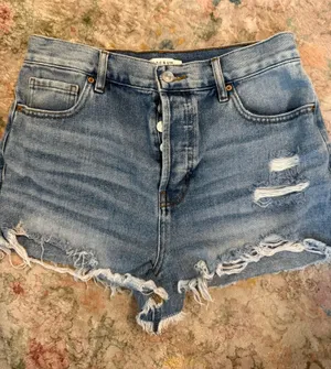 PacSun Vintage High-Rise Shorts thumbnail 1