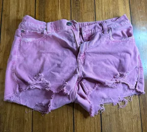 Aerie Shorts thumbnail 1