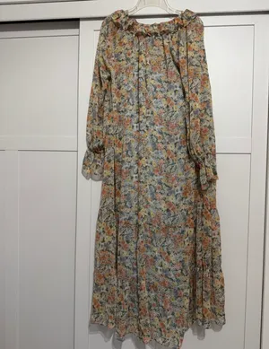 Vici Sheer Floral Maxi Dress in Peach, Blue, Cream XS thumbnail 4