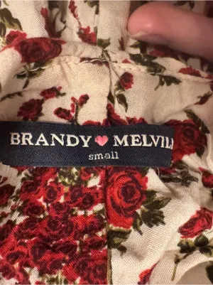 BRANDY MELVILLE‎ Y2K Rose 🥀 Print Mini Dress thumbnail 4