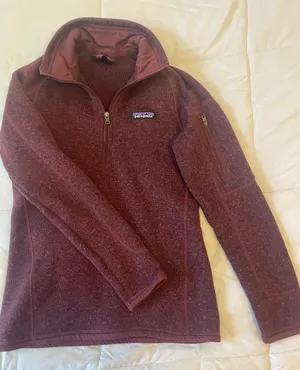 Patagonia Pullover Quarter-Zip thumbnail 1