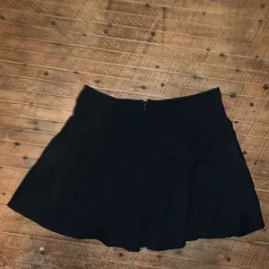 Royal Bones by Daang gothic steampunk XL accordion pleat skirt thumbnail 5