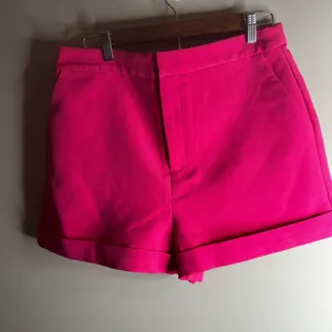 - Vici x Gina shorts thumbnail 1