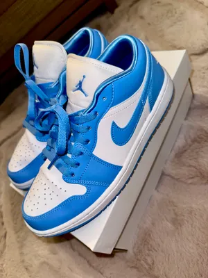 Nike Jordan Air Jordan 1 thumbnail 1