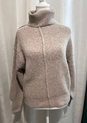 Taupe Turtleneck sweater thumbnail 1
