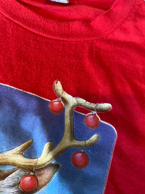 reindeer on beach Tshirt Size XXL thumbnail 4