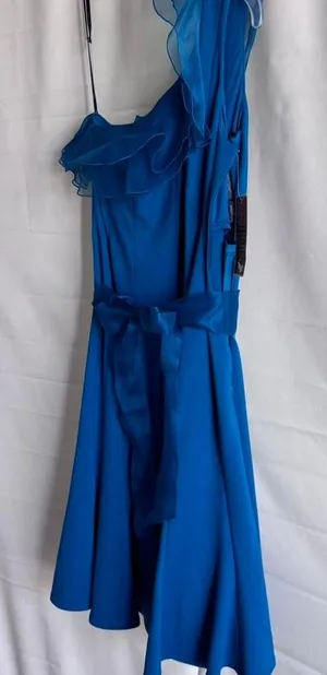 Nue by Shani NWT Blue Sheer Dress with lining& stick ribbon around chest to‎ s thumbnail 1