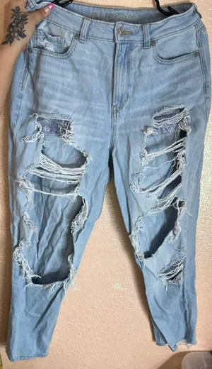 American Eagle mom jeans size 10R thumbnail 1