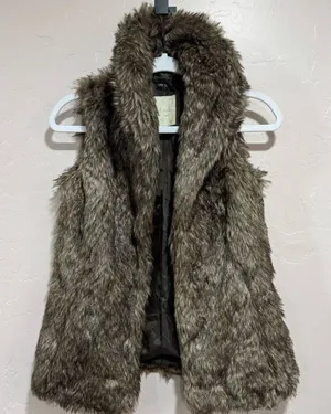 Altar’d State Brown Faux Fur Vest thumbnail 1