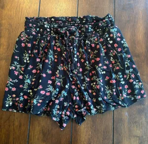 American Eagle Outfitters Shorts thumbnail 1