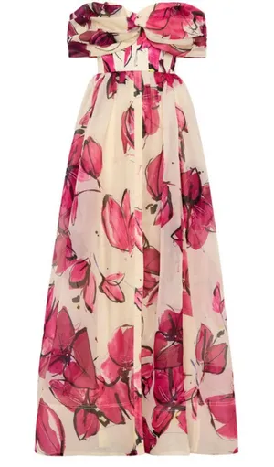 NWT Aje Cordelia Corsetted Maxi Dress thumbnail 1