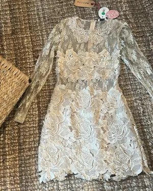 NWT Nellis Boutique Creme Lace Sparkly LS Embellished Dress Size Small thumbnail 1