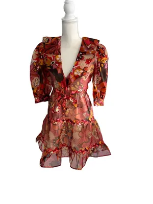 CELIA Floral Multicolor Sheer A Line Dress Size XS thumbnail 10