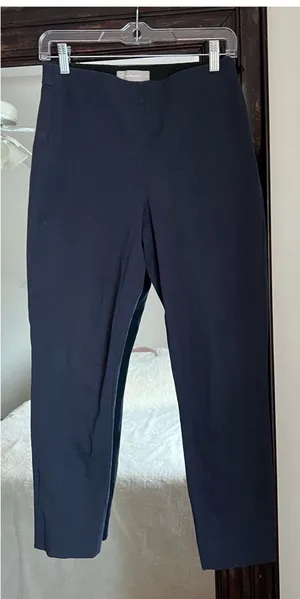 Everlane Navy The Curvy Side Zip Pants thumbnail 1