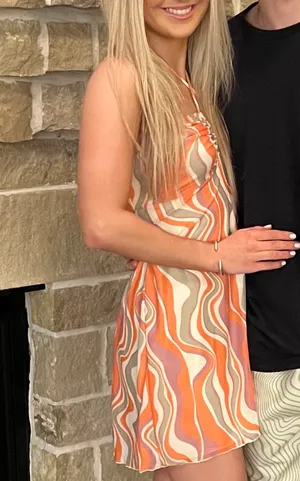 Show Me Your Mumu Dress thumbnail 4