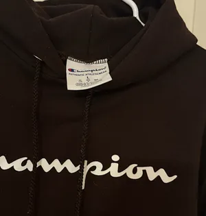 Brown champion hoodie thumbnail 2