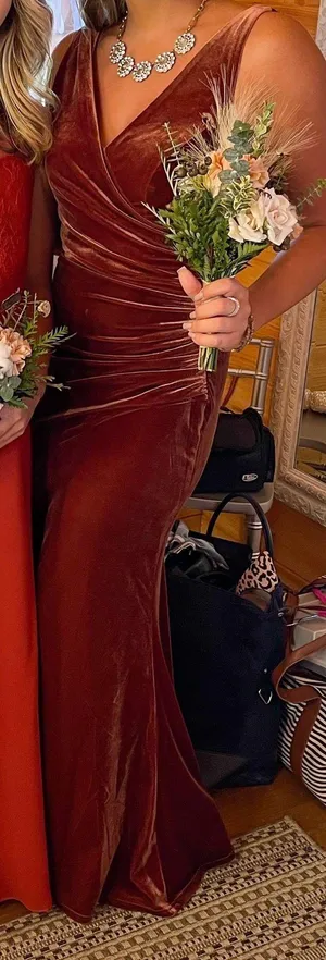 Revelry Dawson Velvet Dress thumbnail 1