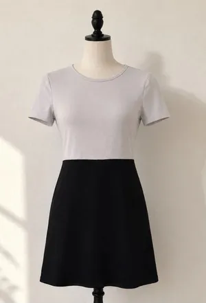 Zara Trafaluc Black White Colorblock A-Line Dress Short Sleeve Medium M thumbnail 1