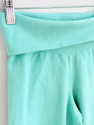 Brandy melville Teal capri Priscilla pants thumbnail 2