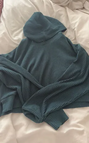 Alo cropped hoodie thumbnail 1