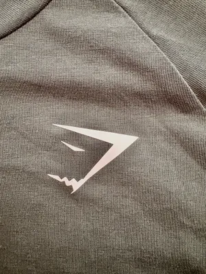 New Men’s Gymshark Critical 2.0 Warm-up Fitted Longsleeve Shirt thumbnail 5