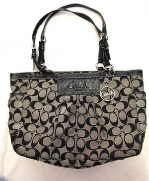 Classic  Bag thumbnail 1