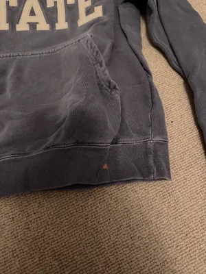 Champion Vintage Penn State Hoodie thumbnail 3